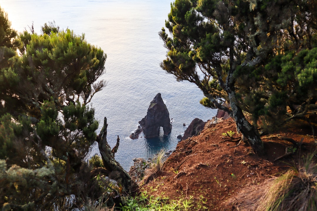 Madera: Gdzie znaleźć mapy turystyczne i samochodowe?