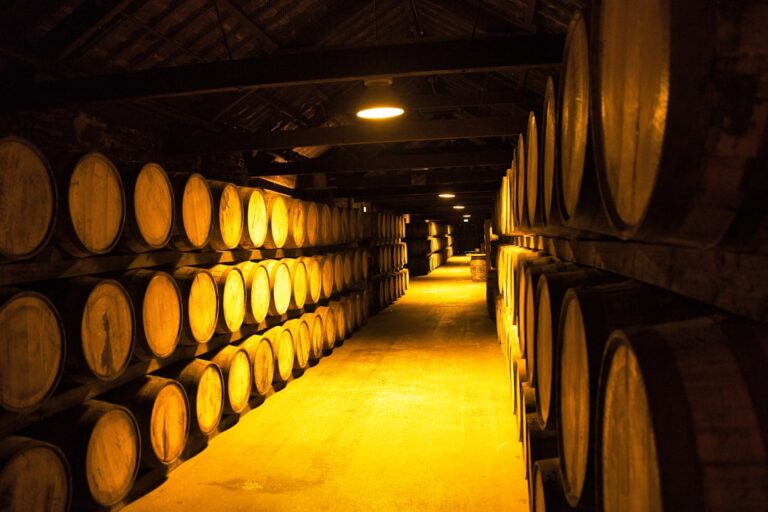 Porto: Wina i degustacje – jak zaplanować wycieczkę?